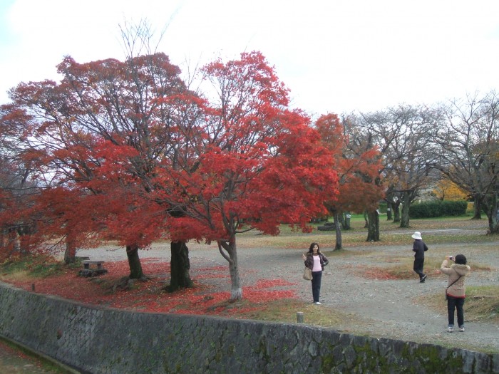 dscf0302.JPG
