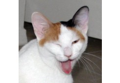 희한한 표정!?