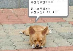 도와 주세요!