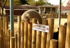 뭐라고 쓴거야?