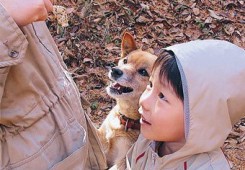 둘째 아들입니다