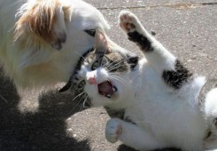 아 놔~