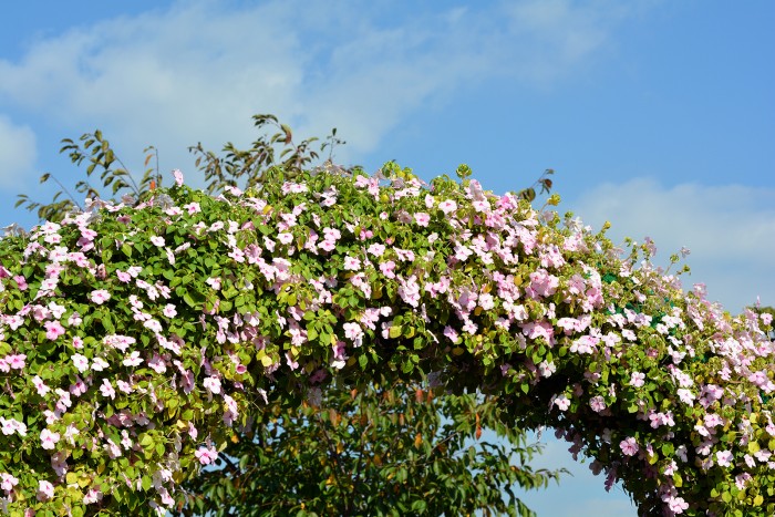dsc_3269.JPG